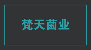 食品行業(yè)工作服定制設(shè)計(jì)款式